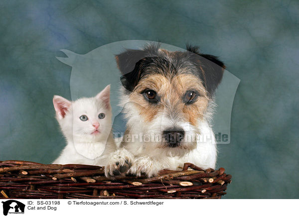 Cat and Dog / SS-03198