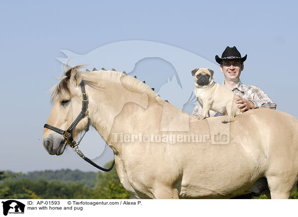 Mann mit Fjordpferd und Mops / man with horse and pug / AP-01593