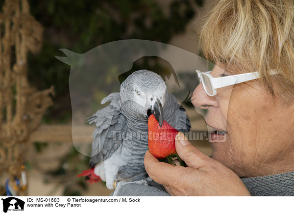 woman with Grey Parrot / MS-01683