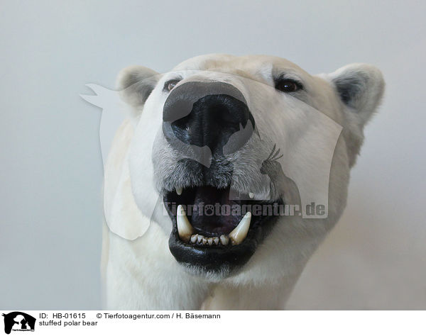 stuffed polar bear / HB-01615
