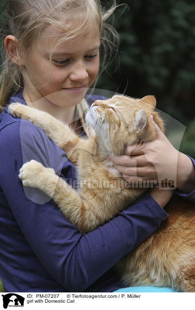 Mdchen mit Hauskatze / girl with Domestic Cat / PM-07207