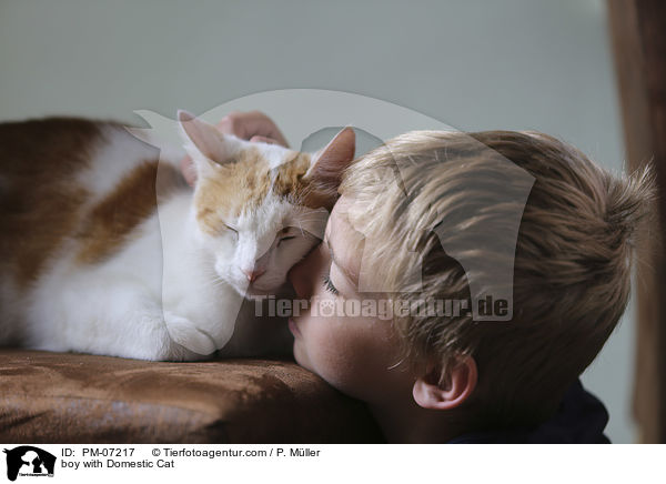 Junge mit Hauskatze / boy with Domestic Cat / PM-07217