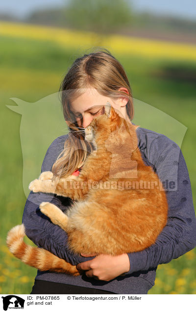 girl and cat / PM-07865