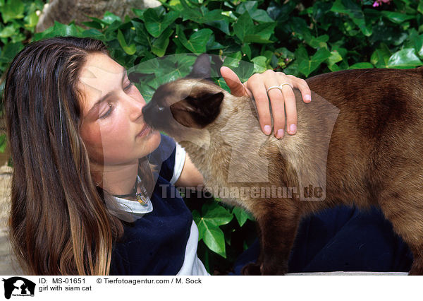 girl with siam cat / MS-01651
