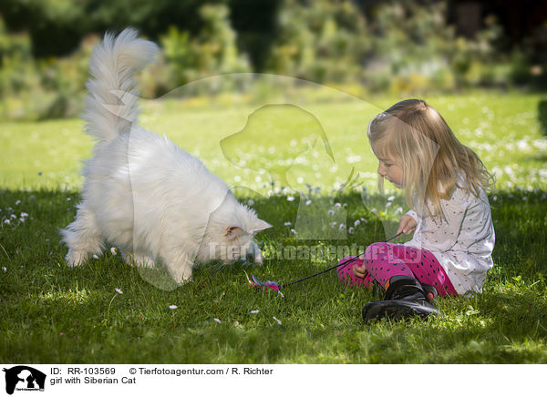 girl with Siberian Cat / RR-103569