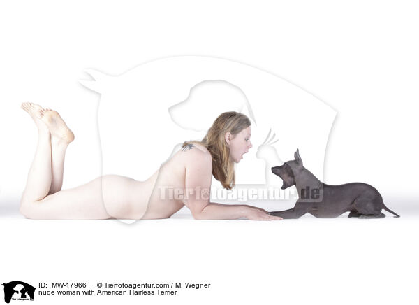 nackte Frau mit American Hairless Terrier / nude woman with American Hairless Terrier / MW-17966