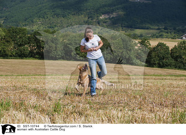 woman with Australian Cattle Dog / SST-10744