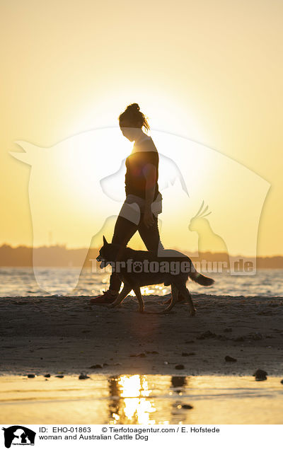 woman and Australian Cattle Dog / EHO-01863
