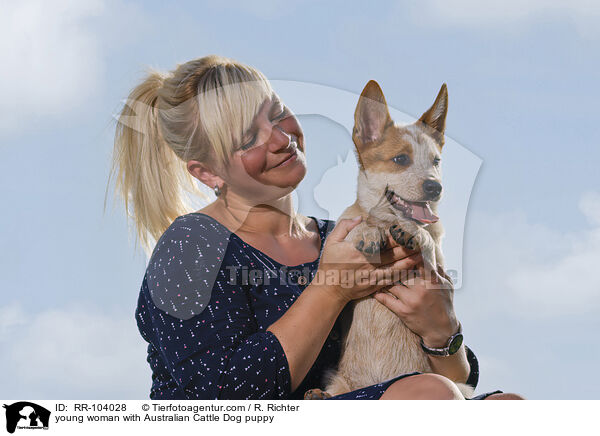 young woman with Australian Cattle Dog puppy / RR-104028