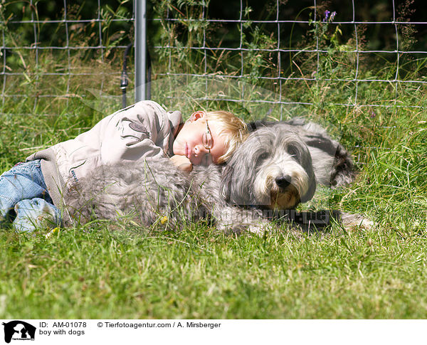 boy with dogs / AM-01078