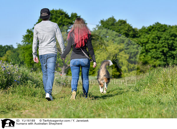 humans with Australian Shepherd / YJ-16189