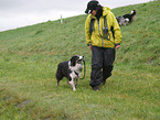 woman and australian shepherd