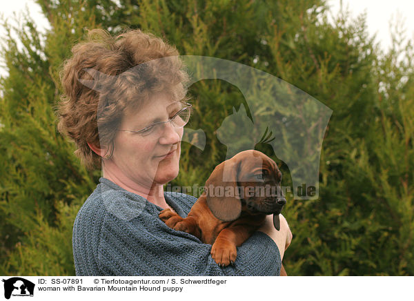 Frau mit Bayerischer Gebirgsschweihund Welpe / woman with Bavarian Mountain Hound puppy / SS-07891