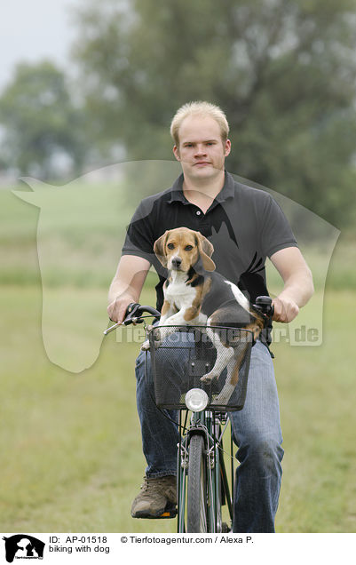 Fahrradfahren mit Hund / biking with dog / AP-01518