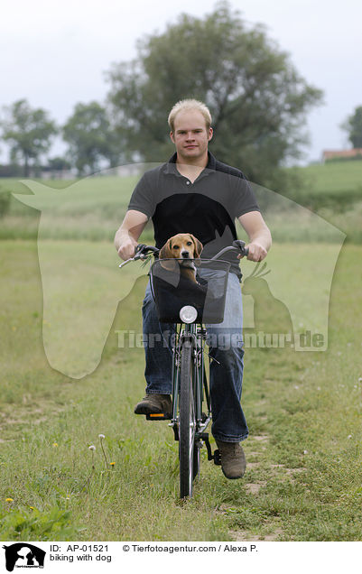 Fahrradfahren mit Hund / biking with dog / AP-01521