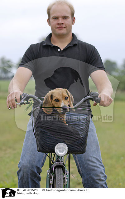 Fahrradfahren mit Hund / biking with dog / AP-01523