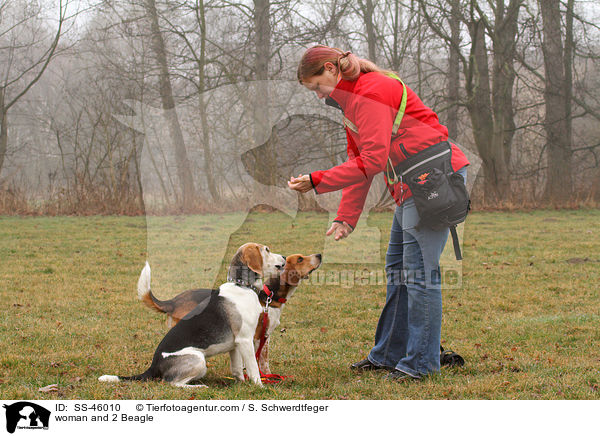 Frau und 2 Beagle / woman and 2 Beagle / SS-46010