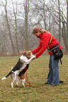 woman and 2 Beagle