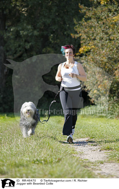 Jogger mit Bearded Collie / Jogger with Bearded Collie / RR-46470