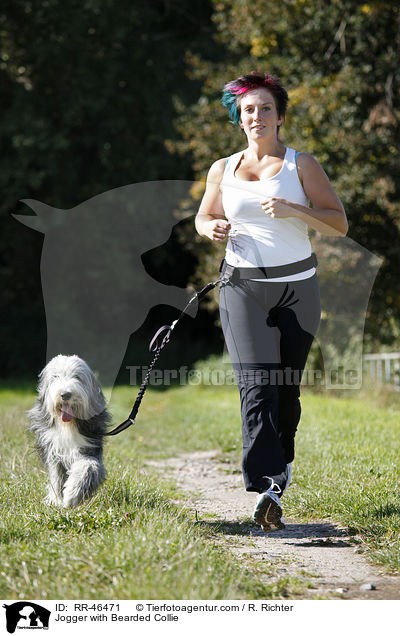 Jogger mit Bearded Collie / Jogger with Bearded Collie / RR-46471