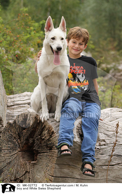 Junge und Weier Schweizer Schferhund / boy and White Swiss Shepherd / MK-02772
