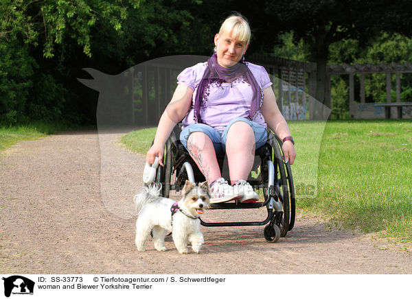 Frau und Biewer Yorkshire Terrier / woman and Biewer Yorkshire Terrier / SS-33773