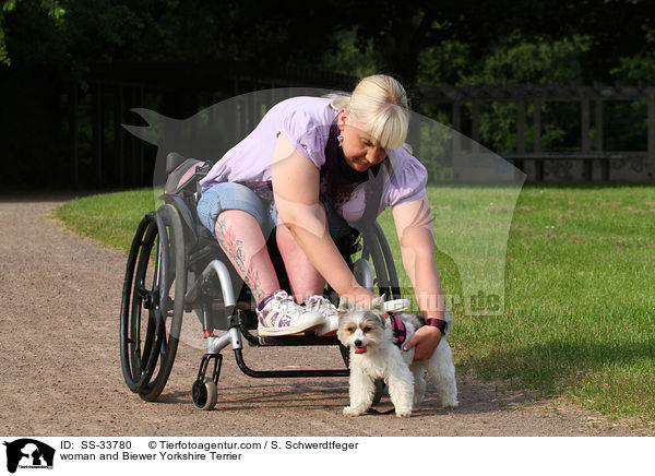 Frau und Biewer Yorkshire Terrier / woman and Biewer Yorkshire Terrier / SS-33780