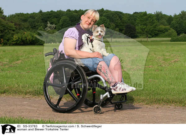 Frau und Biewer Yorkshire Terrier / woman and Biewer Yorkshire Terrier / SS-33783