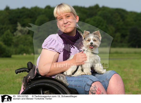 Frau und Biewer Yorkshire Terrier / woman and Biewer Yorkshire Terrier / SS-33785