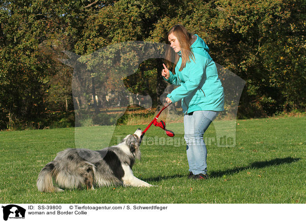 woman and Border Collie / SS-39800