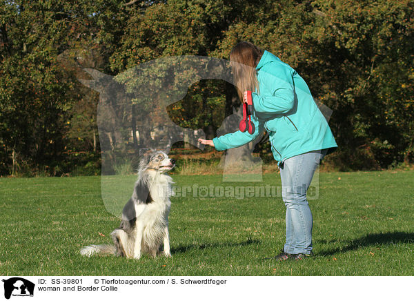 woman and Border Collie / SS-39801