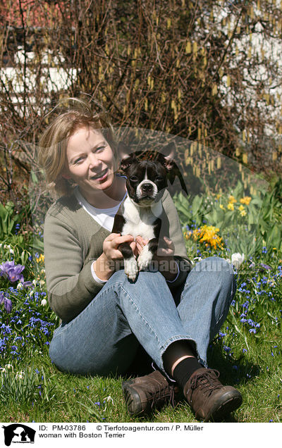 woman with Boston Terrier / PM-03786