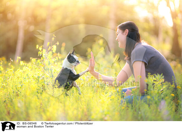 woman and Boston Terrier / BS-08548