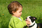 kid with Boston Terrier Puppy