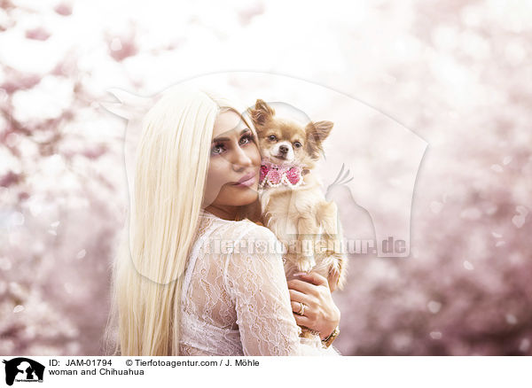 woman and Chihuahua / JAM-01794