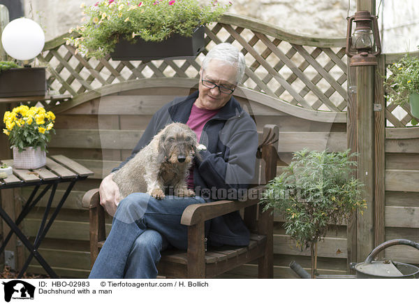 Dackel mit Mann / Dachshund with a man / HBO-02983