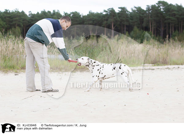 Mann spielt mit Dalmatiner / man plays with dalmatian / KJ-03946