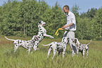 man with Dalmatian