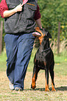 woman and Doberman Pinscher