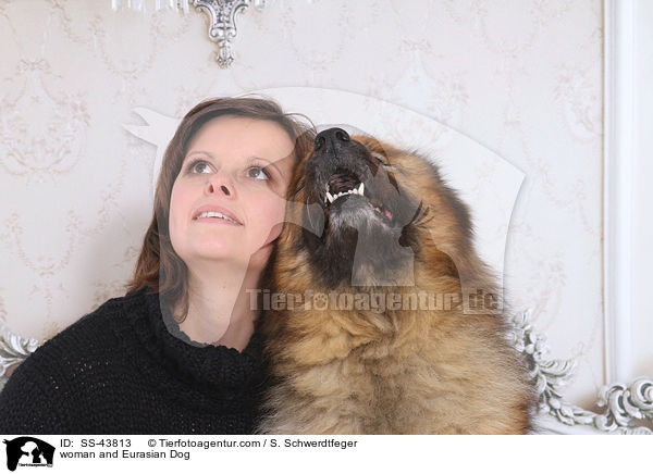 Frau und Eurasier / woman and Eurasian Dog / SS-43813