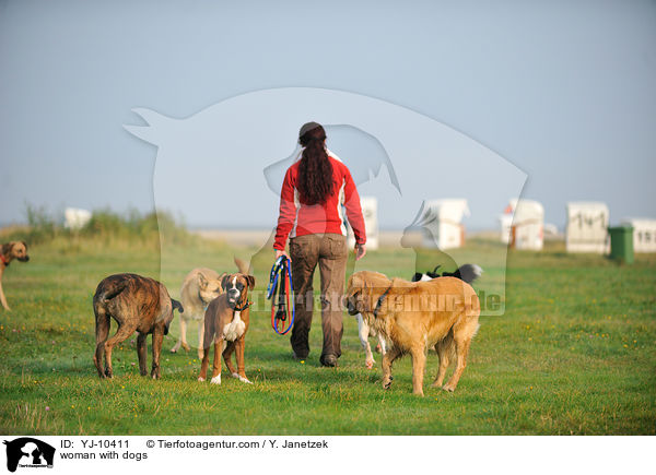 Frau mit Hunden / woman with dogs / YJ-10411