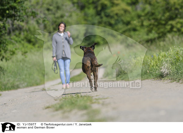 Frau und Deutscher Boxer / woman and German Boxer / YJ-15977