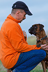 man and German Boxer