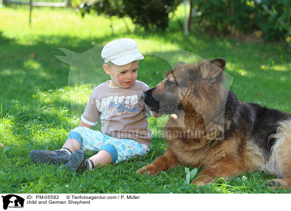 Kind und Deutscher Schferhund / child and German Shepherd / PM-05582