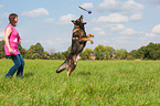 playing German Shepherd