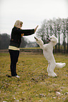 woman and Giant Poodle