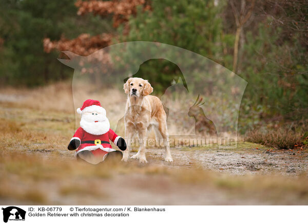 Golden Retriever mit Weihnachtsdeko / Golden Retriever with christmas decoration / KB-06779