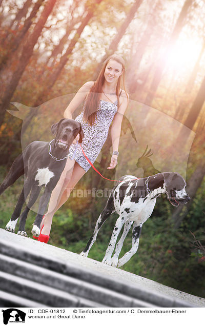 Frau und Deutsche Dogge / woman and Great Dane / CDE-01812