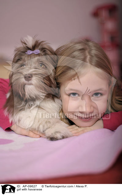 Mdchen mit Havaneser / girl with havanese / AP-09627