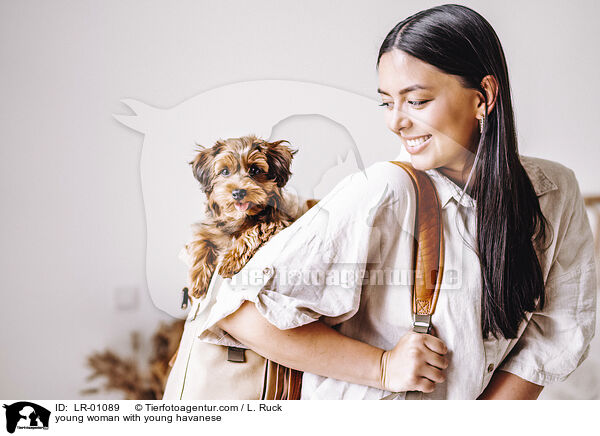 young woman with young havanese / LR-01089